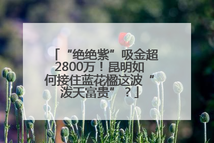 “绝绝紫”吸金超2800万！昆明如何接住蓝花楹这波“泼天富贵”？